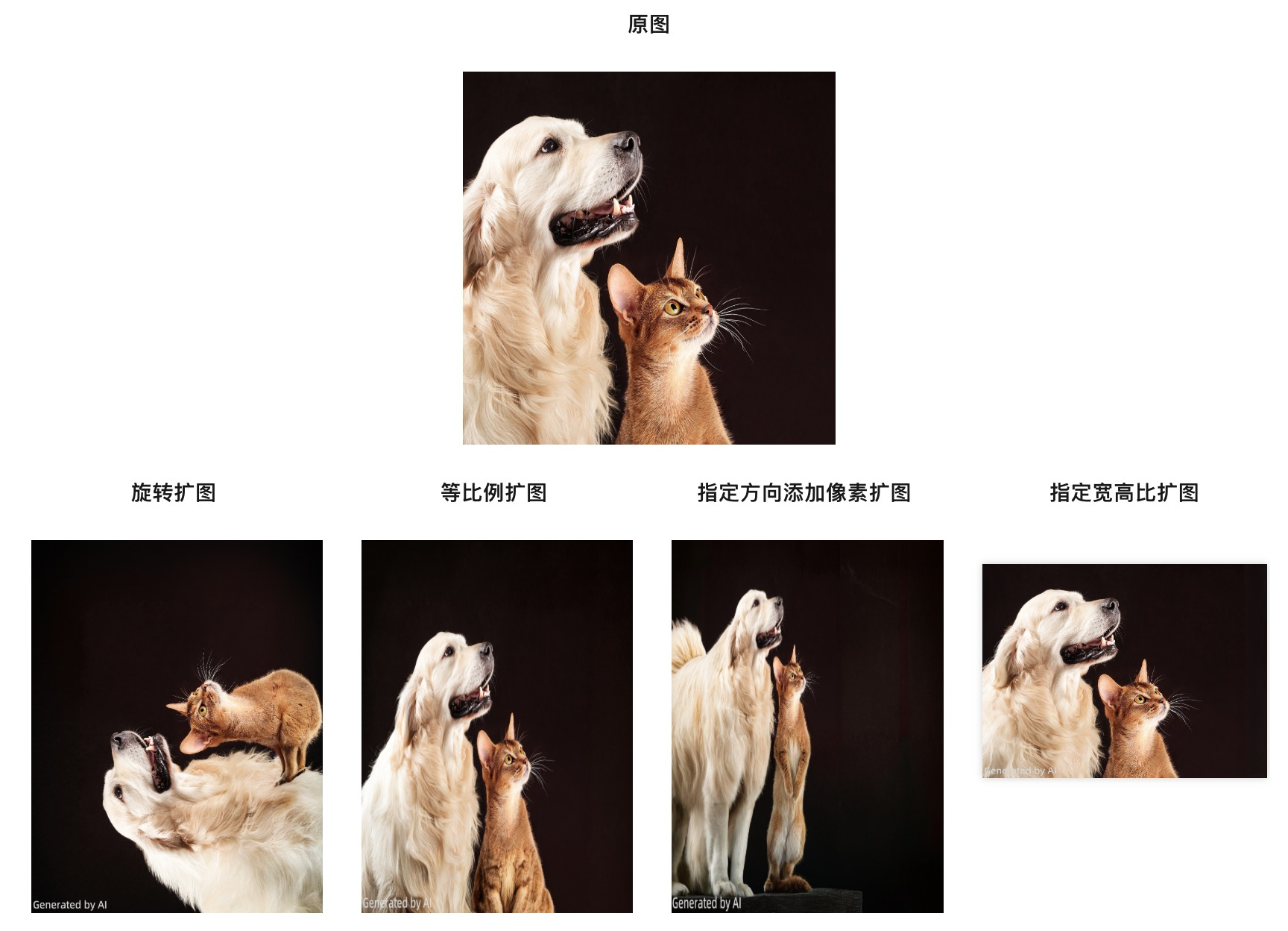 image20250402112131411.png